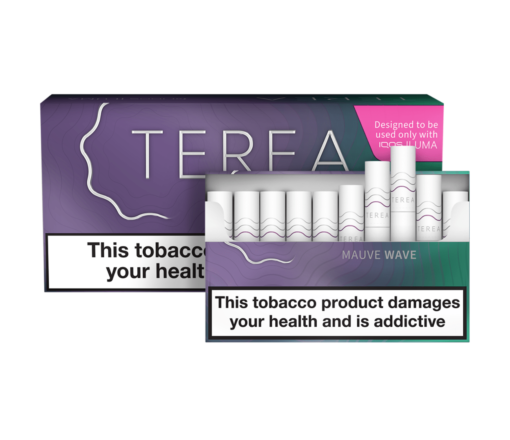 IQOS Terea Sigara Purple